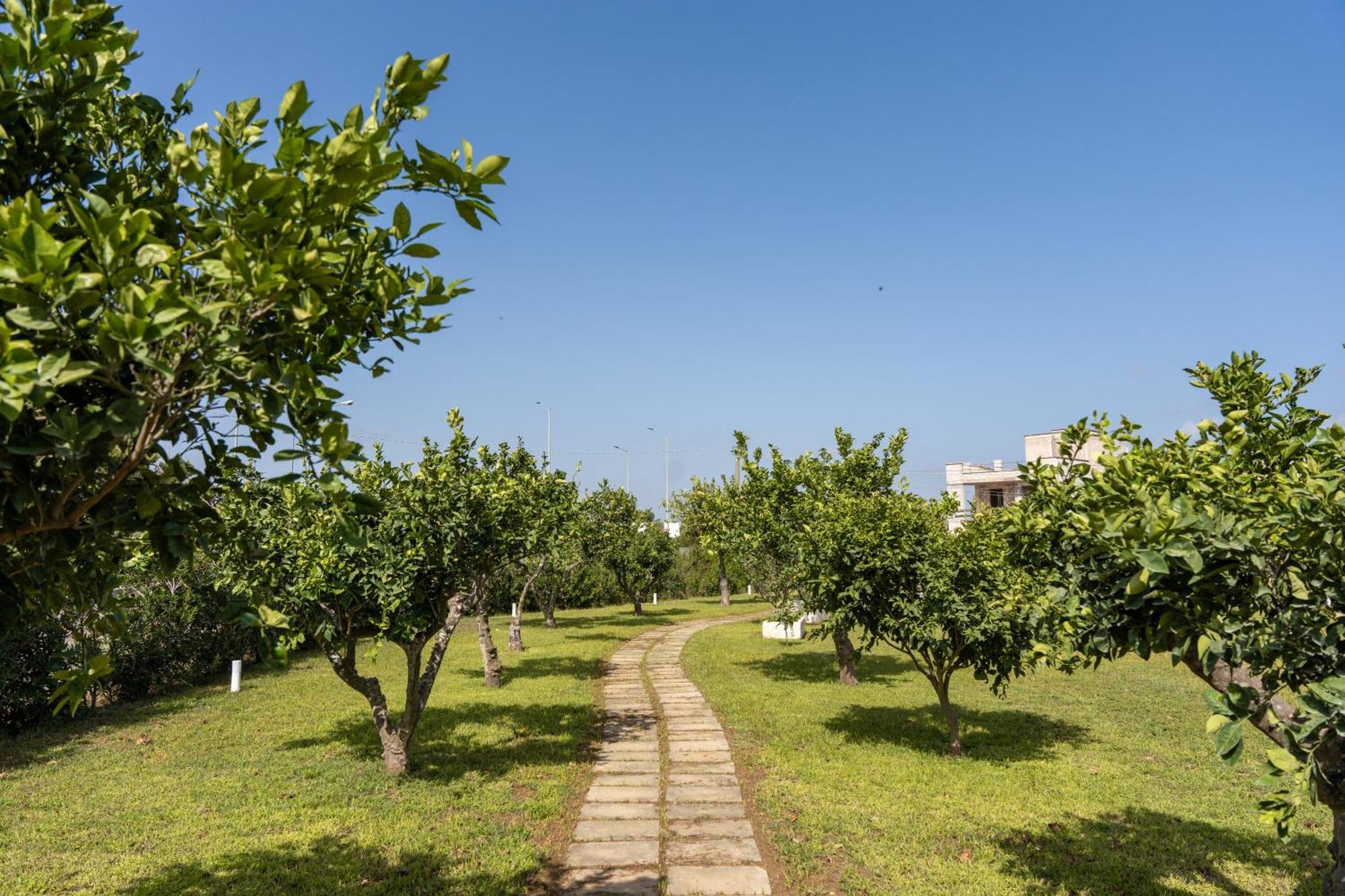 Murieri Rooms Отранто Екстер'єр фото